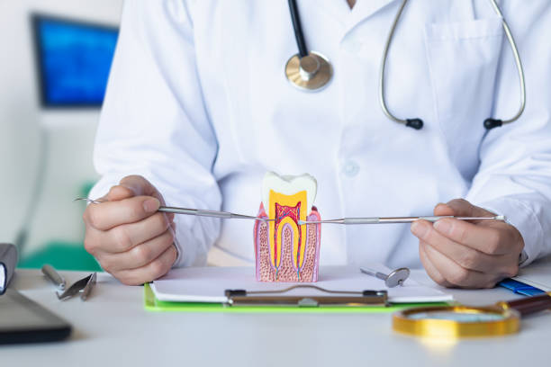 Best Urgent Tooth Repair  in Vernon Hls, IL